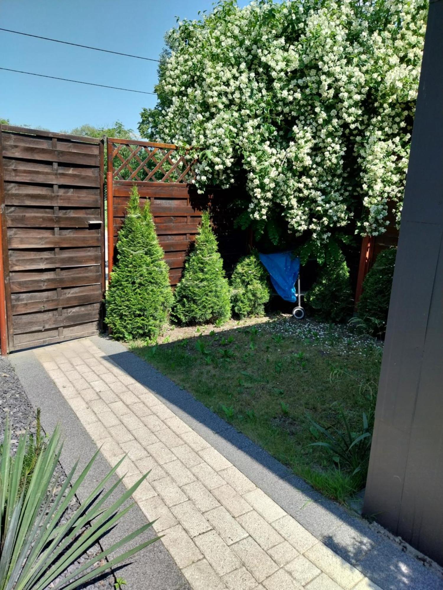 Apartament Antonio 3 Gdansk Oda fotoğraf